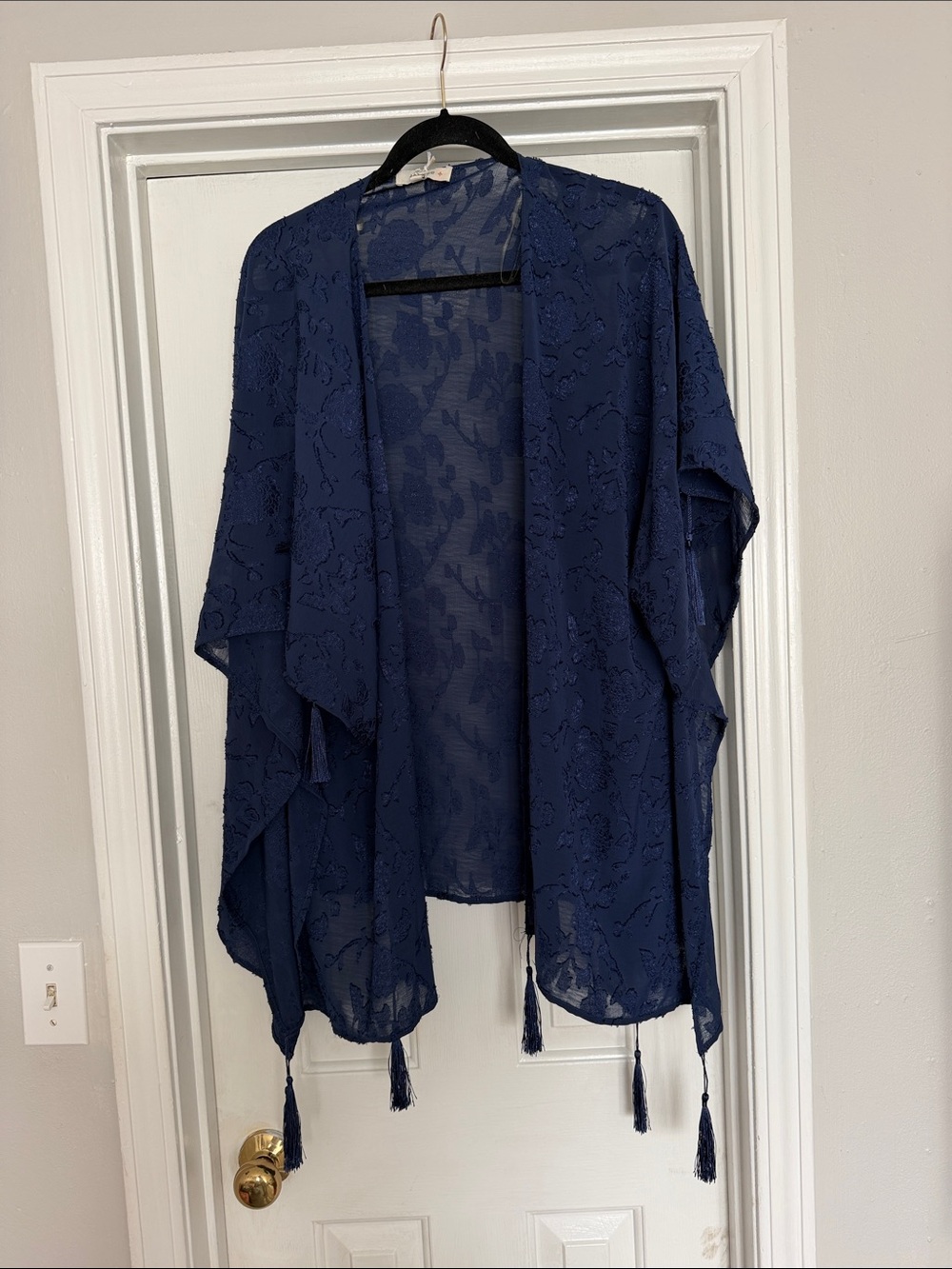 Umgee Blue Sheer Kimono with Tassels